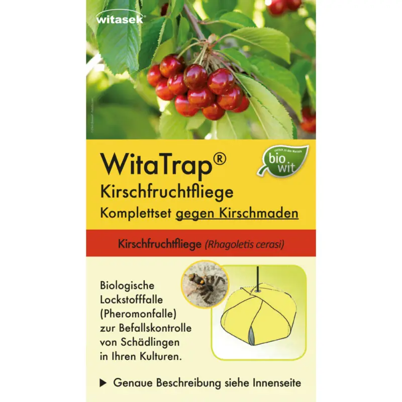 Kirschfruchtfliege Komplett Set (Rhagoletis cerasi) Preis Gesenkt
