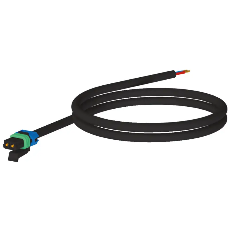 Günstig asaAnschlusskabel mit Stecker, 2-polig