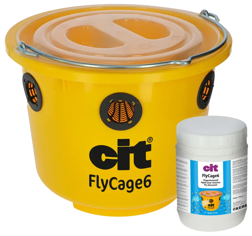 citFliegenfalle FlyCage6* Neuheit