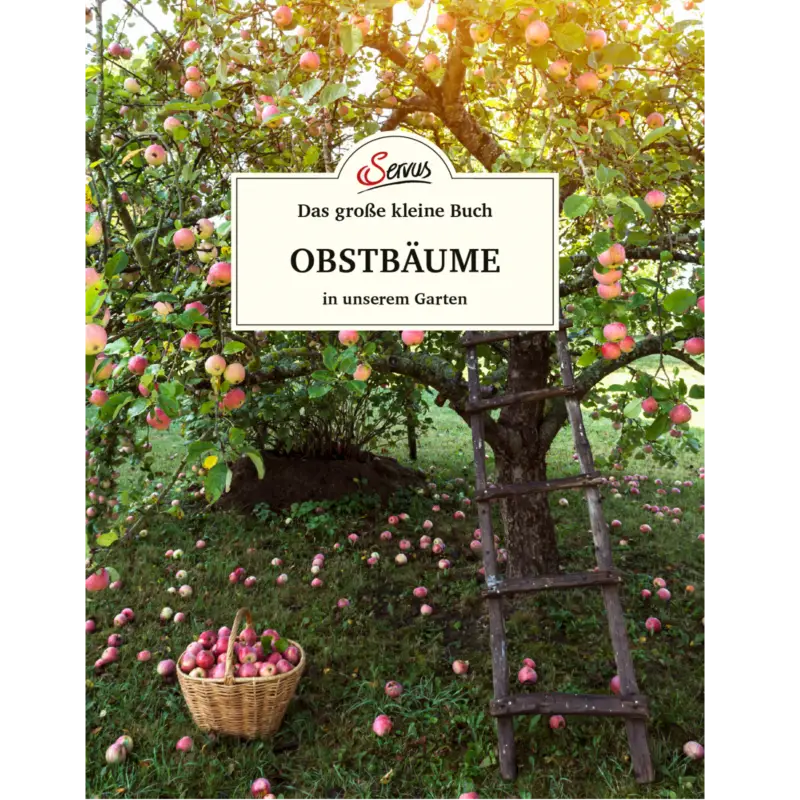 Servus Obstbäume im Garten Top-Angebot