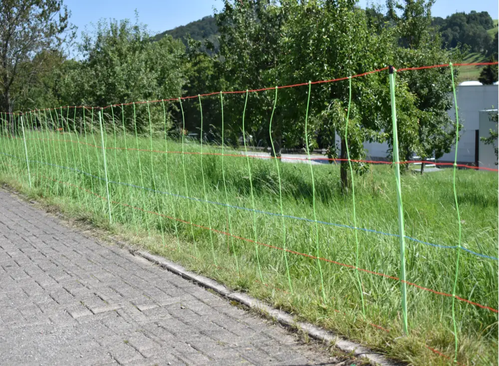 GöbelSchafnetz EuroNetz Kombi 50m Doppelspitze Saisonangebot