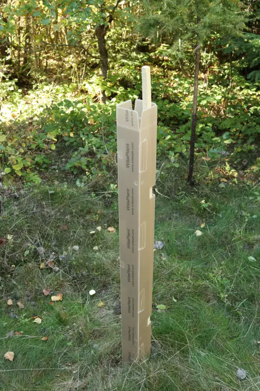 Baumschutzsäule MV Laubholz Neu