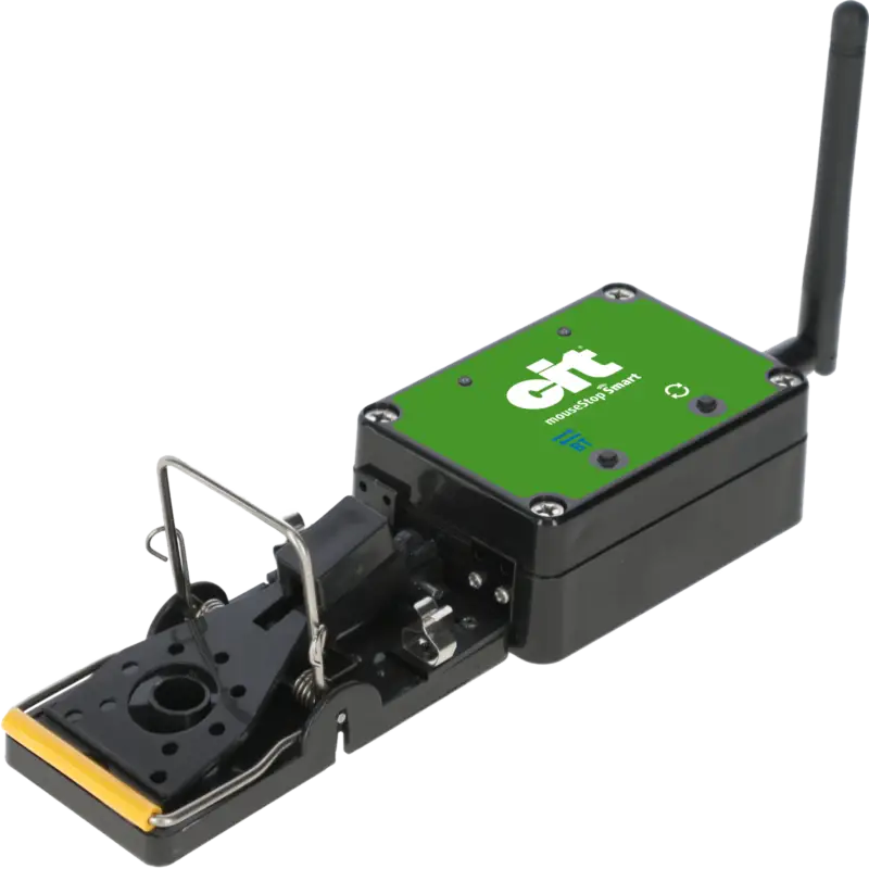 Ausverkauf citMausefalle Smart MouseStop