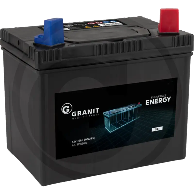 Rasentraktor Batterie 12 V/30Ah 300 A Solange Der Vorrat Reicht