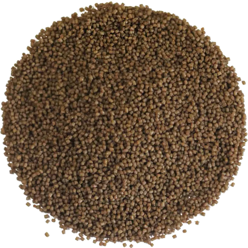 Brutfutter Forelle Top sinkend Top-Angebot