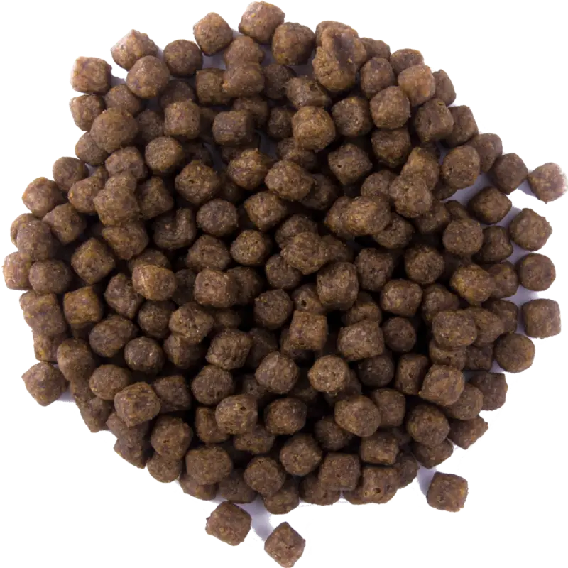 Mastfutter Karpfen Carp Speed schwimmend 15 kg Neuheit