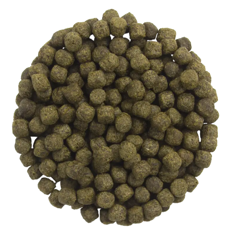 Preiswert Koifutter Spirulina 15 kg