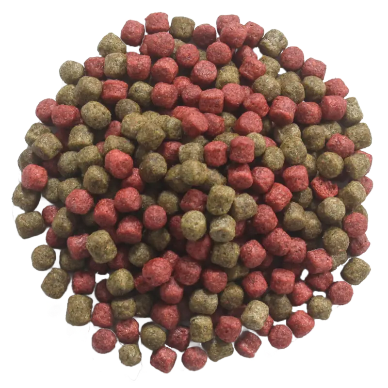 Zierfischfutter Duo Colour 6mm Sonderangebot