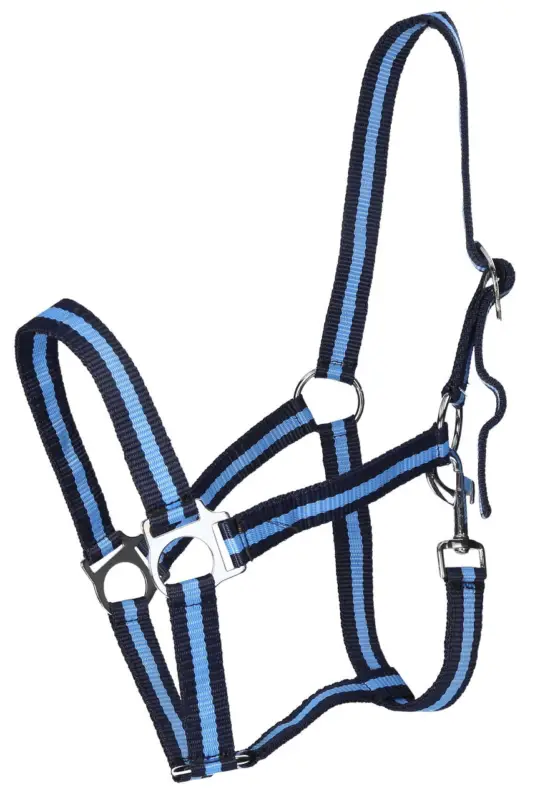 Neuheit WAHL-Hausmarke HoldMe Halfter marine/hellblau, Mini-Shetty