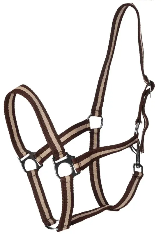 Saisonangebot WAHL-Hausmarke HoldMe Halfter dkl.braun/beige, Mini-Shetty