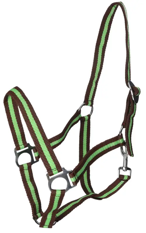 WAHL-Hausmarke HoldMe Halfter braun/grün, Pony Preisknaller