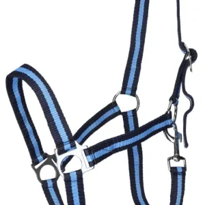 WAHL-Hausmarke HoldMe Halfter marine/hellblau, Cob = Vollblut Preis Gesenkt
