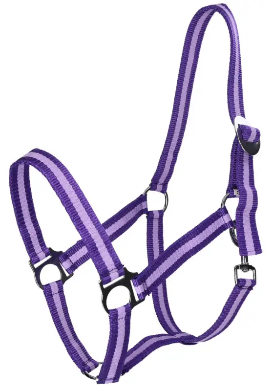 Echt WAHL-Hausmarke HoldMe Halfter lila/flieder, X-Full Warmblut extra / Kaltblut
