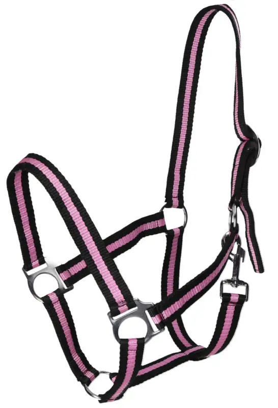 WAHL-Hausmarke HoldMe Halfter schwarz/pink, Full = Warmblut Aktuell