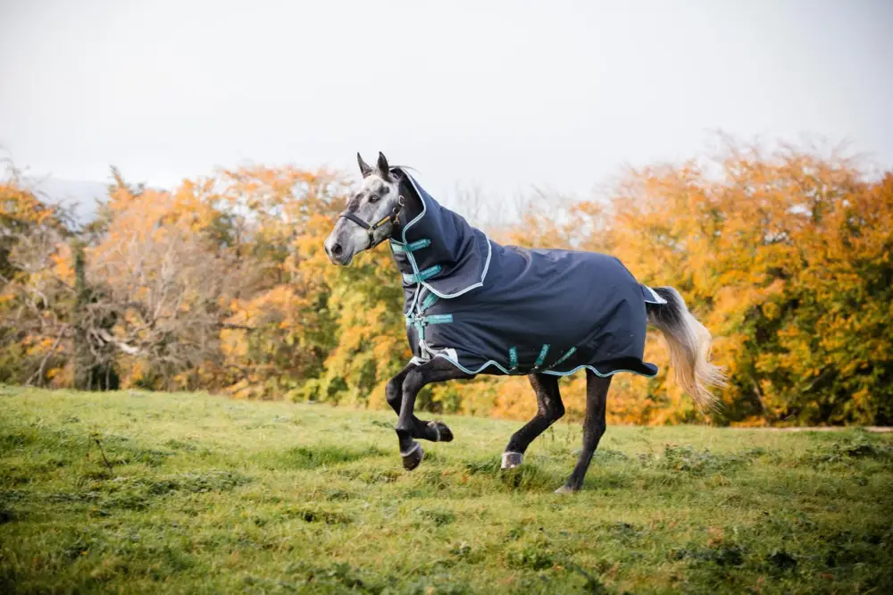 Horseware Amigo Bravo 12 Plus Med 250g navy/aqua & turquoise, 140 cm Saisonangebot
