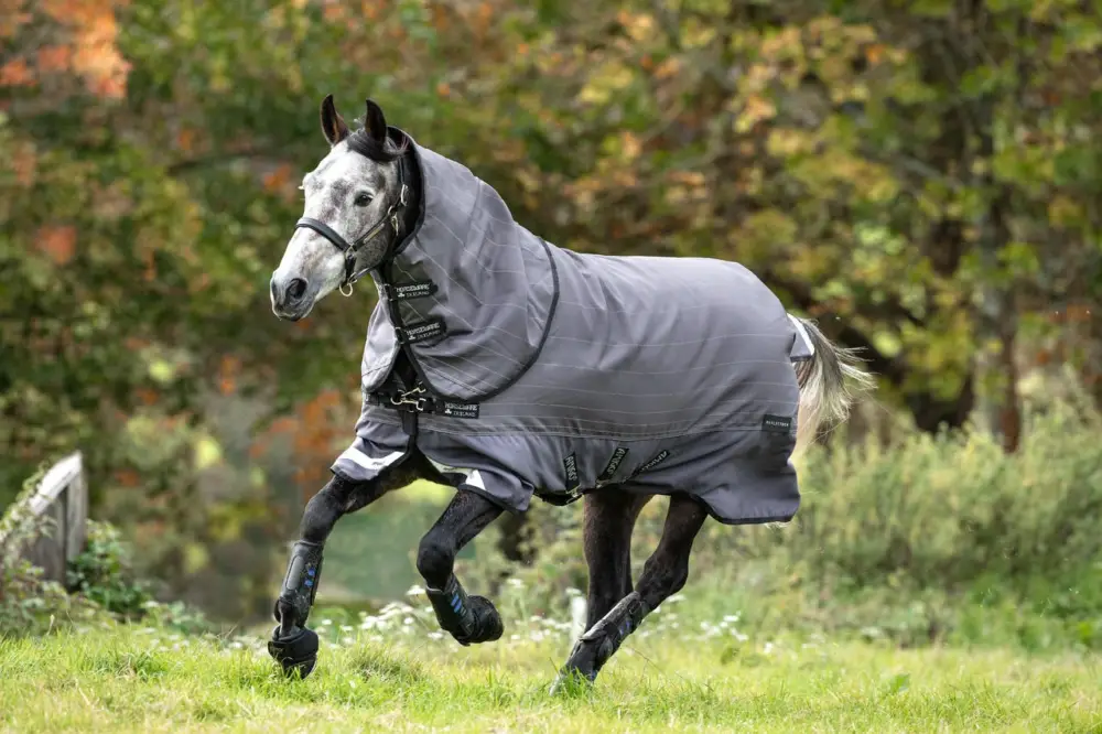 Nur Heute Horseware Amigo Bravo 12 Reflectech Plus 100g grey/reflective & black, 130 cm