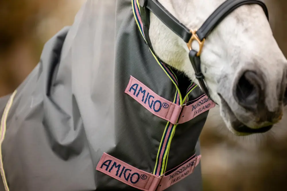Horseware Amigo Hero Ripstop Hood 0g shadow/rose & navy, XL Top-Preis