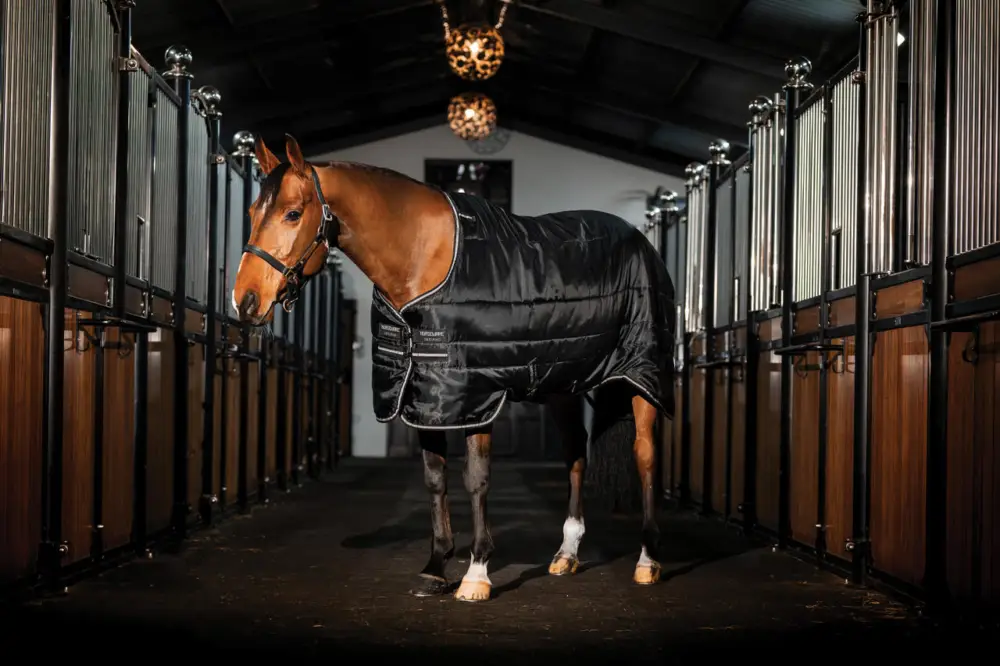 Horseware Easy-Layer Stable 100g black/black & silver, 125 cm Knallerangebot