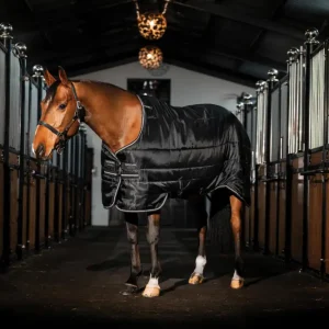 Preis Gesenkt Horseware Easy-Layer Stable 100g black/black & silver, 130 cm