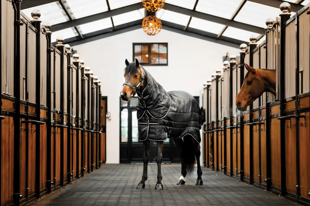 Kracherpreis Horseware Easy-Layer Stable Plus Med 200 black/black & silver, 125 cm