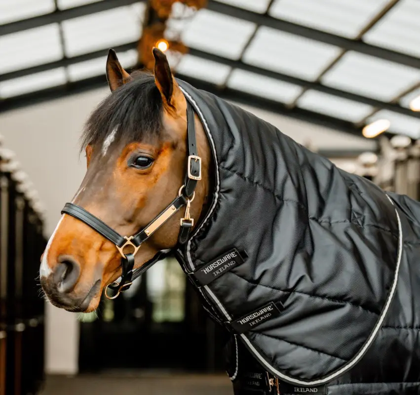 Neue Ware Horseware Easy-Layer Stable Hood 100g black/black & silver, L