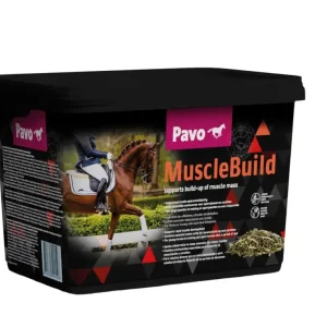 Pavo MuscleBuild 3 kg Must-Have