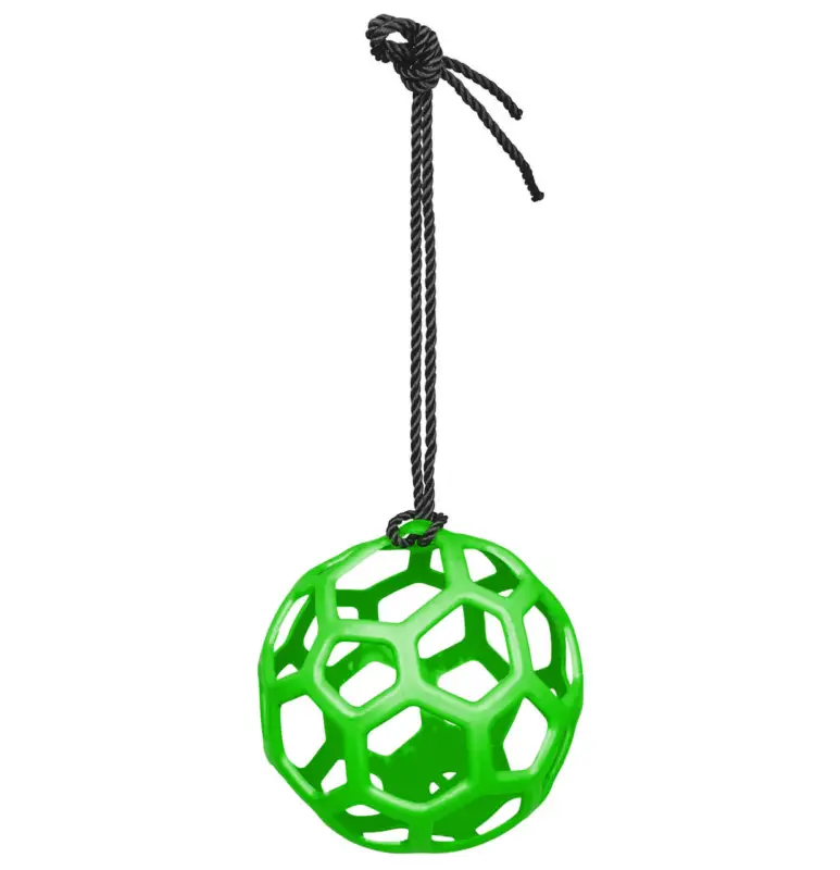 Waldhausen Heuball grün, ø 22 cm Geprüft
