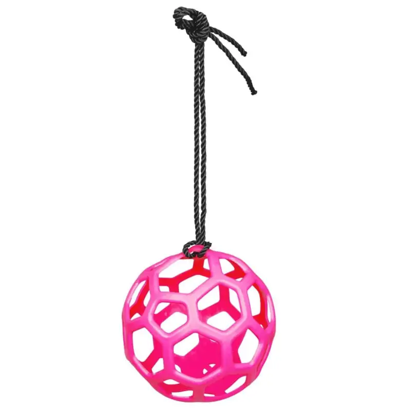 Top-Angebot Waldhausen Heuball pink, ø 22 cm