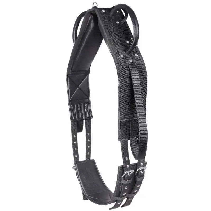 Waldhausen Longier- und Voltigiergurt, synthetik schwarz, Pony Mega-Angebot