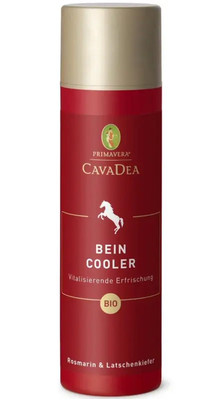 CavaDea Bein Cooler bio 190 ml Sonderangebot