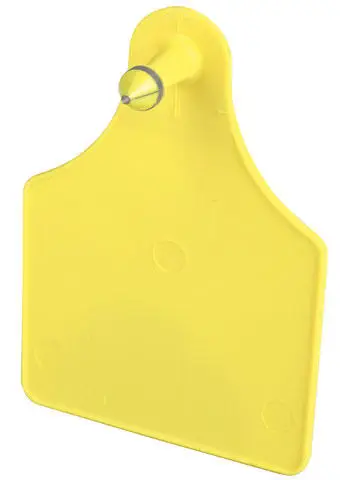 Caisley FLEXOPLUS Ohrenmarke D 25 Stk Dornteil grün Sofort Bestellen