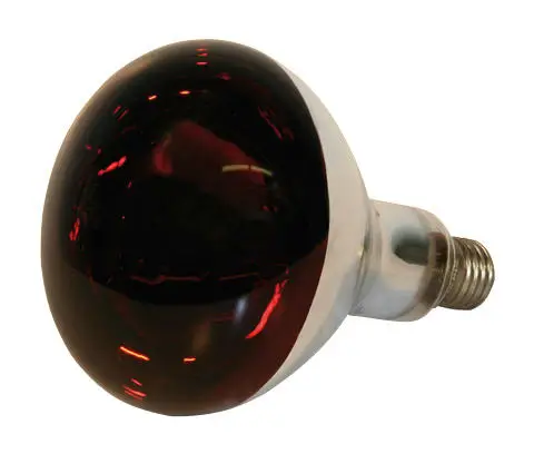 Sichere Zahlung Göbel Hartglas-Infrarotlampe rot, 150 Watt