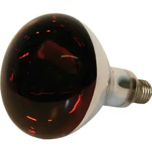 Göbel Hartglas-Infrarotlampe rot, 250 Watt Neue Kollektion