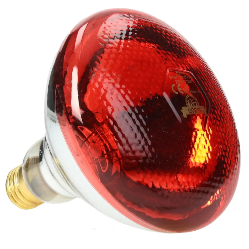 Preiswert Göbel Infrarot-Sparlampe, rot, 175 Watt