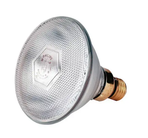Philips Infrarot-Sparlampe, weiß, 100 Watt Billig