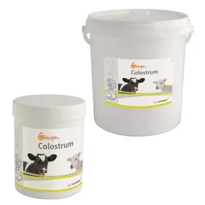 Jetzt Kaufen EW Nutrition COLOSTRUM - Biestmilchaufwerter 2500 g