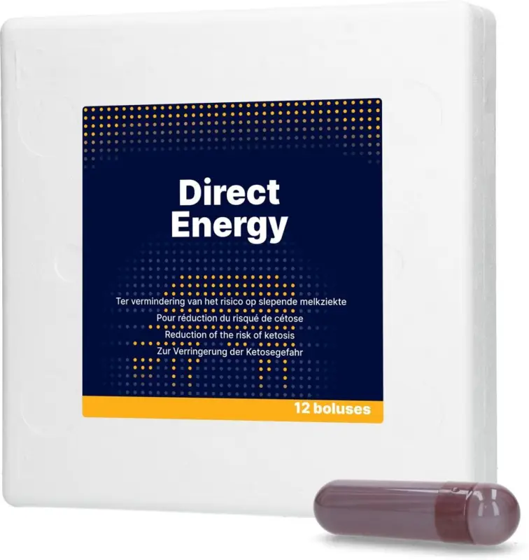 Hofman Animal Care Direct Energy Bolus - 12 Stück (à 70g) Jetzt Bestellen