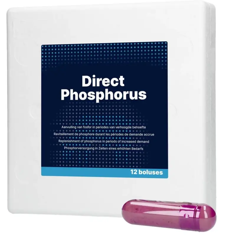 Hofman Animal Care Direct Phosphorus – 12 Boli à 123 g Neu