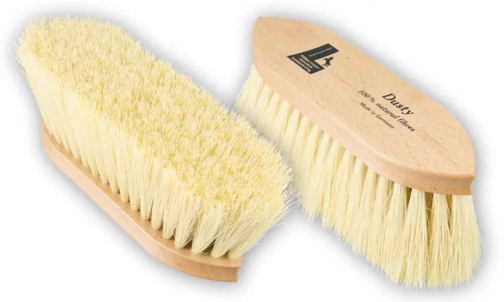 Leistner Staubbürste Dusty 200x59 mm Sofort Bestellen