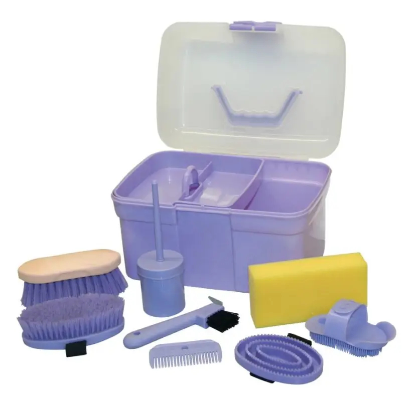Saisonangebot Putzbox mit Inhalt lila