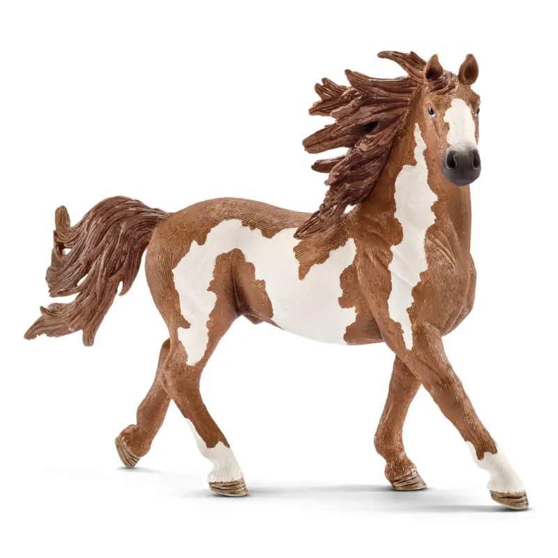 Schleich Pinto Hengst Versand Am Gleichen Tag