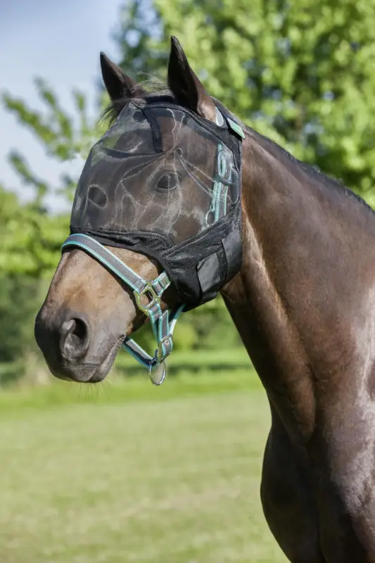 Online Kaufen USG Fliegenmaske ohne Ohrenschutz Full = Warmblut