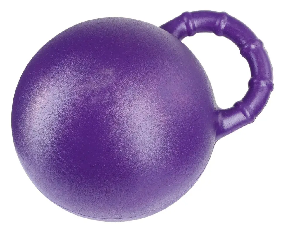 Echt Kerbl Pferdespielball Minzaroma