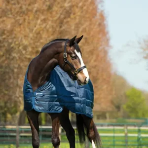 Billig Horseware Liner Unterdecke 200g 145 cm