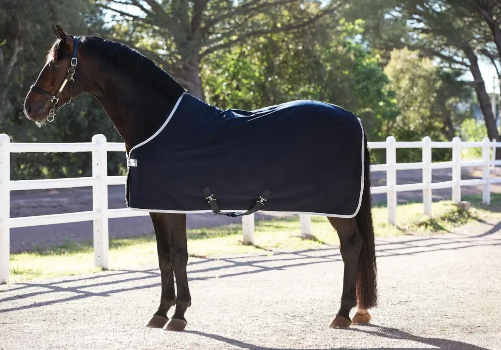 Solange Der Vorrat Reicht Horseware Amigo Jersey Cooler navy/silver, 125 cm