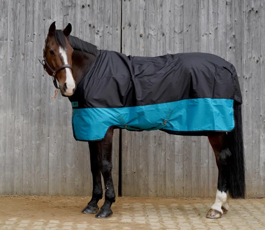 Online Kaufen Horseware Mio Turnout Lite - Weidedecke black with turquoise & black, 85 cm