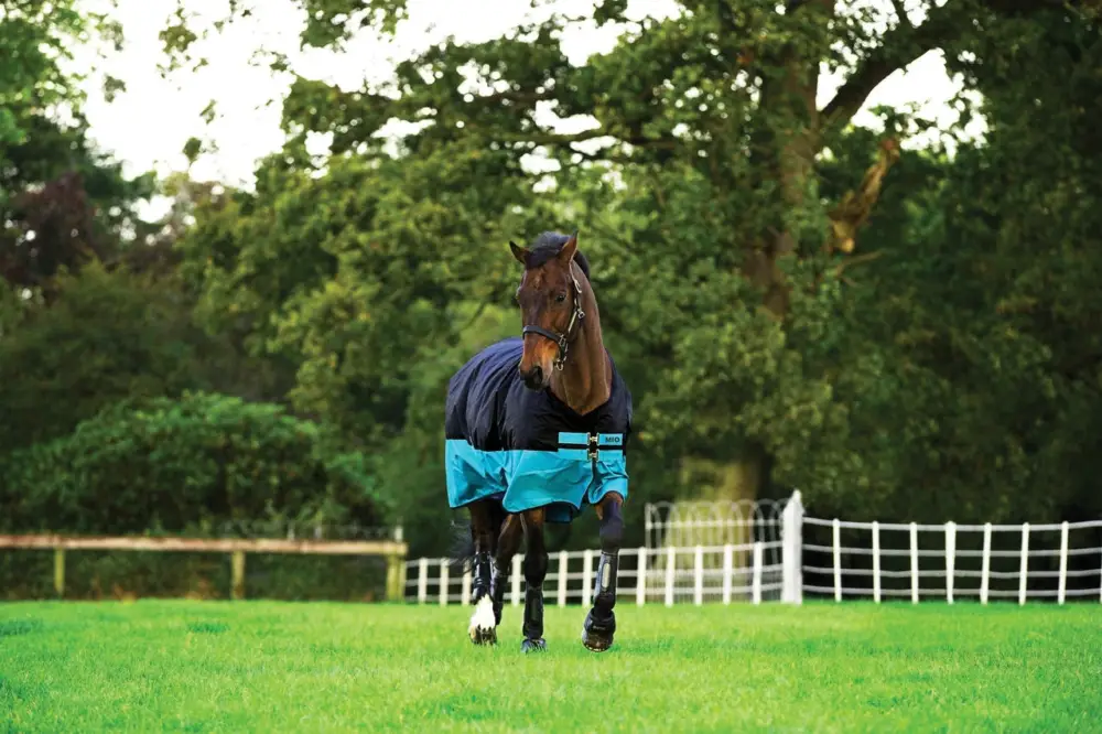 Horseware Mio Turnout Medium 200 g black with turquoise & black, 115 cm Ausverkauf