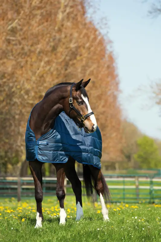Horseware Liner Unterdecke 100g 125 cm Nur Heute
