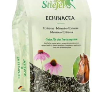 Stiefel Echinacea, geschnitten 500 g Knallerangebot
