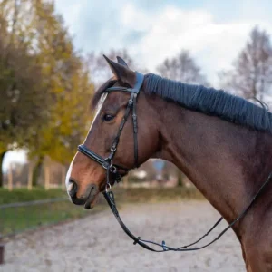 Garantierte Lieferung Gebissloser Zaum Free Pony